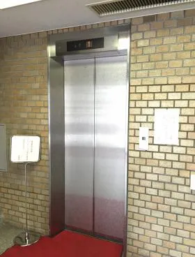 シグネットの外観