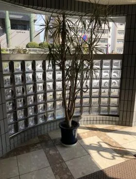 南青山273ビルの外観
