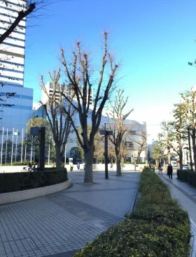GINZA YAMATO 3ビルの外観
