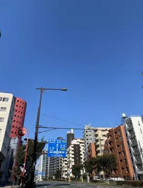 MAPLE WOOD 11.BLD(メイプルウッド11)の外観