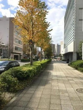 野村不動産新横浜ビルの外観