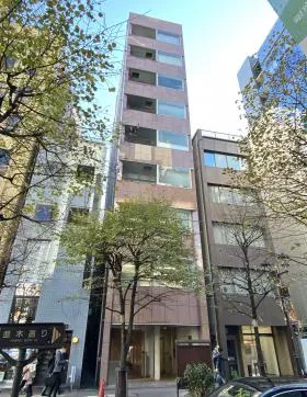 ドゥーミラン銀座ビルの外観