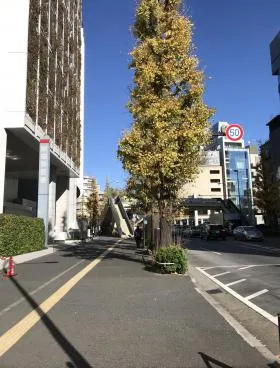 FUJIBUILDING HARAJUKUビルの外観