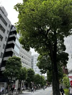 寺田ビルの外観