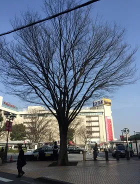 朝日生命浦和ビルの外観