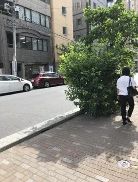 峯岸ビルの外観