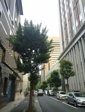 東京YWCA会館の外観