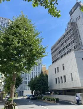 新平河町ビルの外観