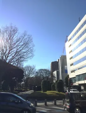 高鼻町TAIGAビル 旧)NESグローバルの外観