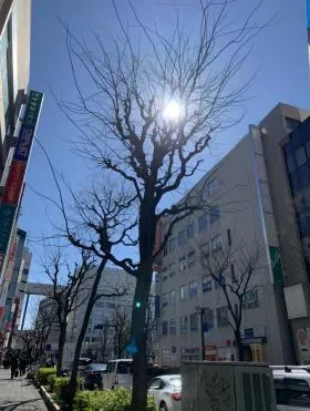 第2ユニオンビルの外観