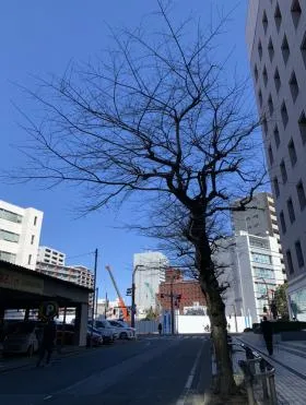 日本火災埼玉ビルの外観