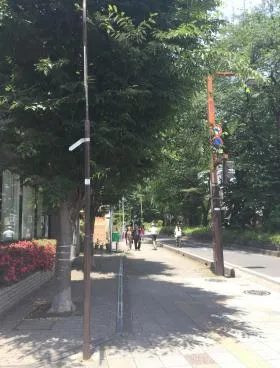 第1やすなビルの外観