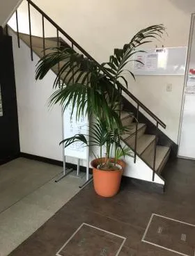橋完ビルの外観