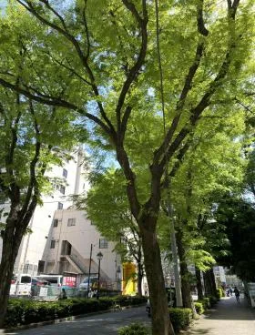 アーバンセンター渋谷イースト(旧渋谷MK)ビルの外観