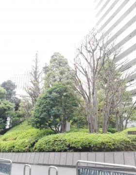 チュリス赤坂ビルの外観