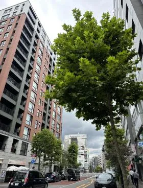 STRADA GINZA EASTビル(旧:築地SKビルの外観