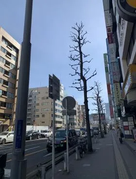 横浜NYビルの外観