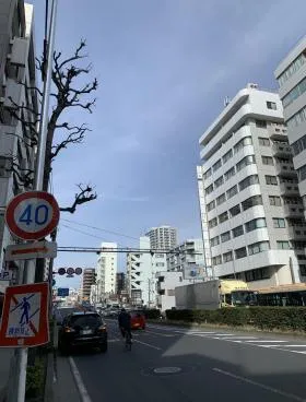 ベレネ和平ビルの外観