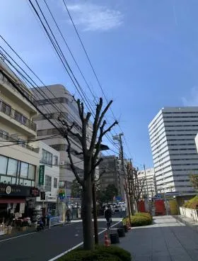 高見澤ビルの外観