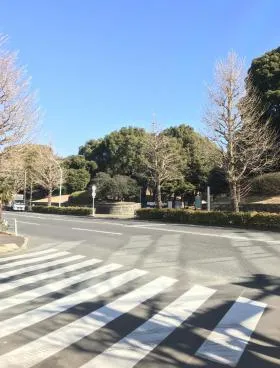 フォレスト代々木A-1ビルの外観