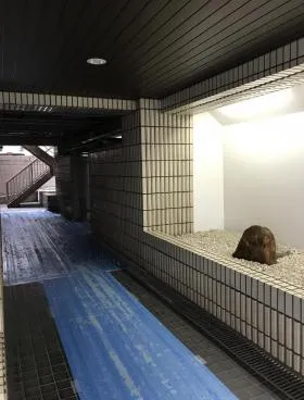 FUJIBUILDINGの外観