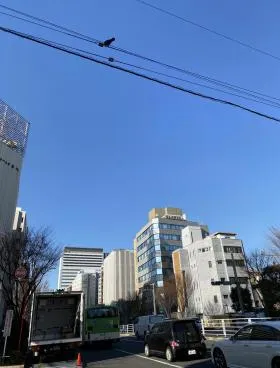 築地センタービルの外観
