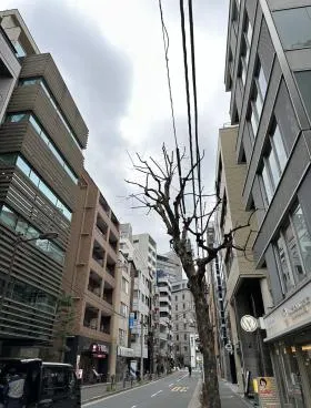 プレイアデ一番町ビルの外観