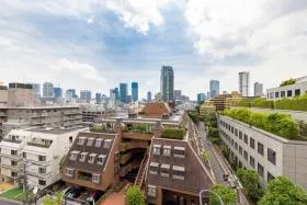 TERRACE HILL AOYAMA(リージェンシー新坂)ビルの外観