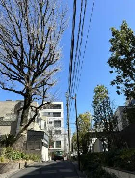フランセスの外観