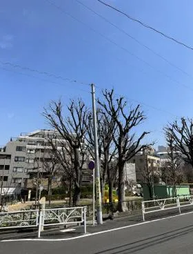 山崎ビルの外観