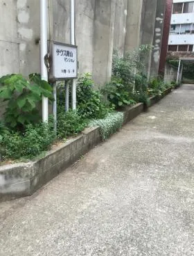 サウス青山マンションの外観