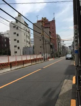 グレースカトレアの外観