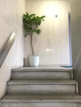 矢野ビルの外観