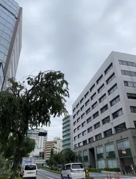 ベリータの外観