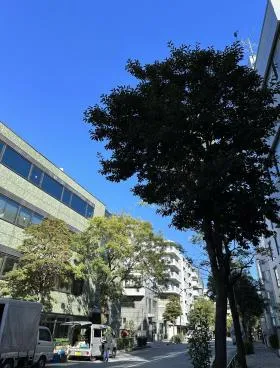 ゴールドペリビルの外観