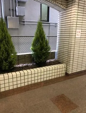 Yビルの外観