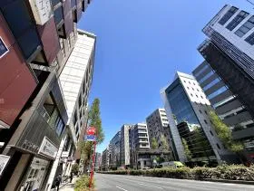 第一京浜沿いを新橋方面に直進する