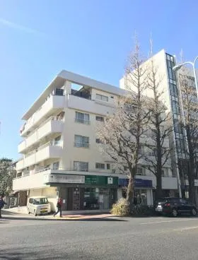タイガーマンションビルの外観