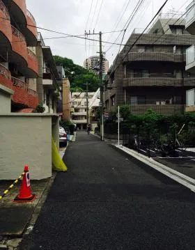 ニューカーサ麻布の外観