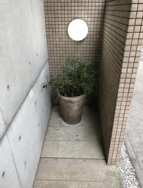 南青山アイビーハウスの外観