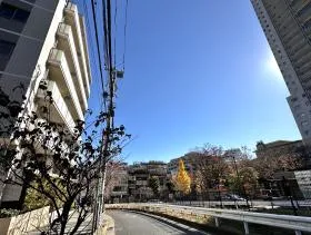 HARAPPA DAIKANYAMAの外観