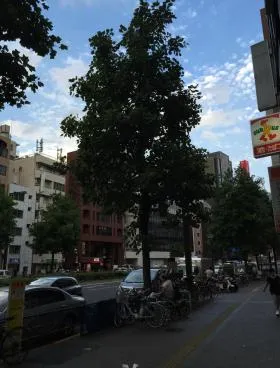 山本(旧:快生堂)ビルの外観