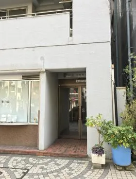 プロスヤマブキチョウの外観