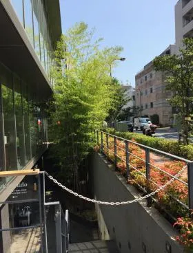 MT3の外観