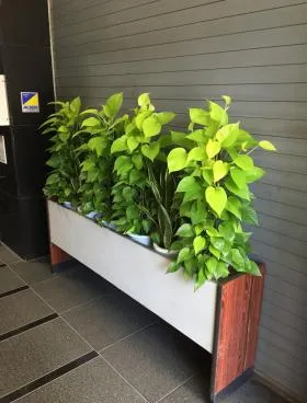 KSJビルの外観