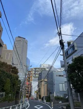 ジョイヒルズ南平台の外観