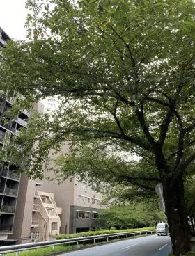 広尾Gビルの外観
