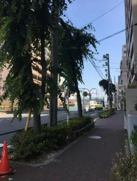 ローレルコート三鷹ビルの外観