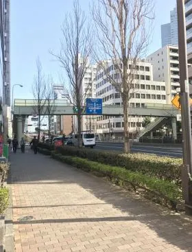 カスタリア新富町ビルの外観