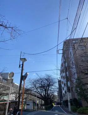 JU青葉台ビルの外観